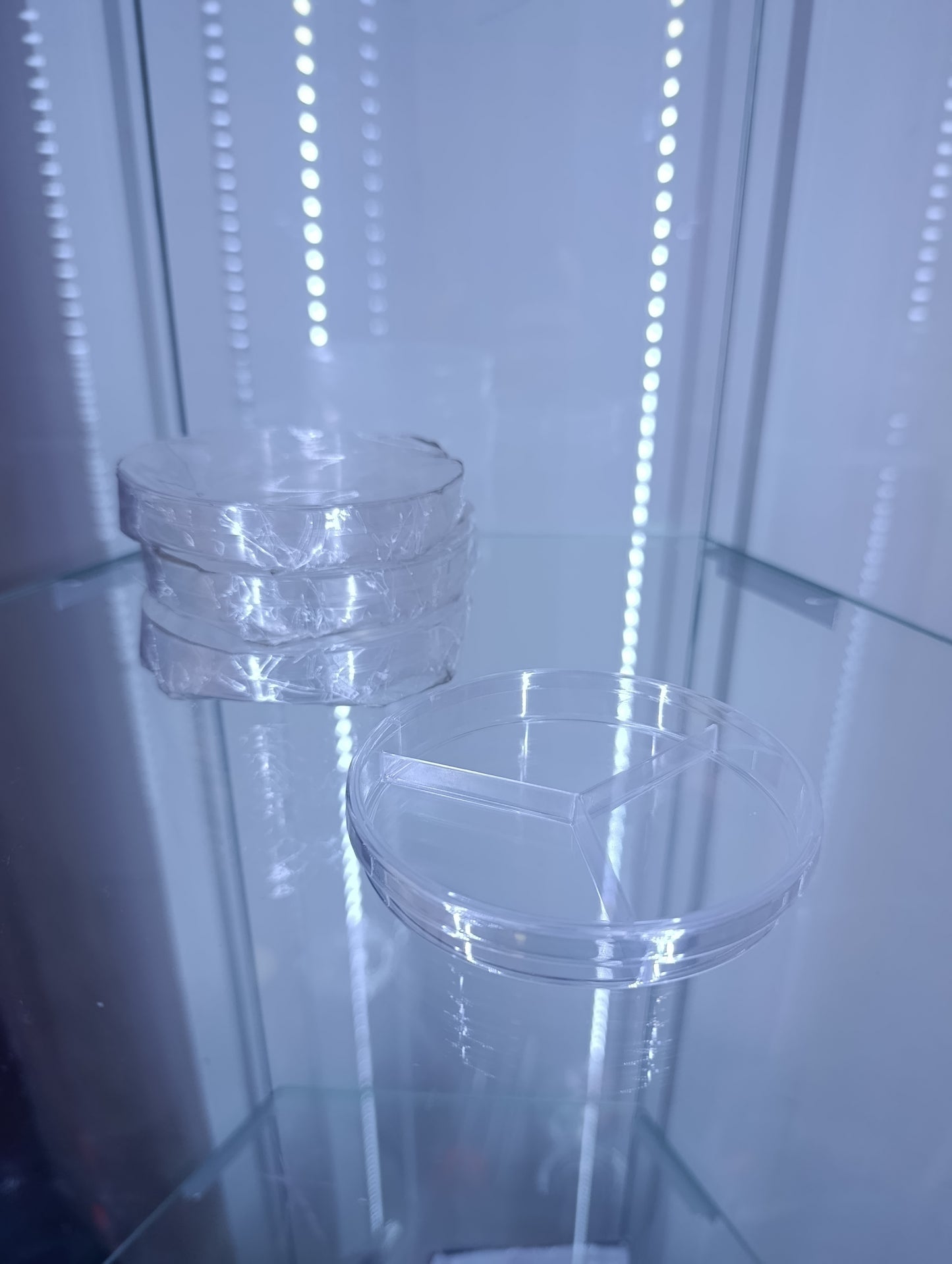 Placas de Petri (Petri Dish)
