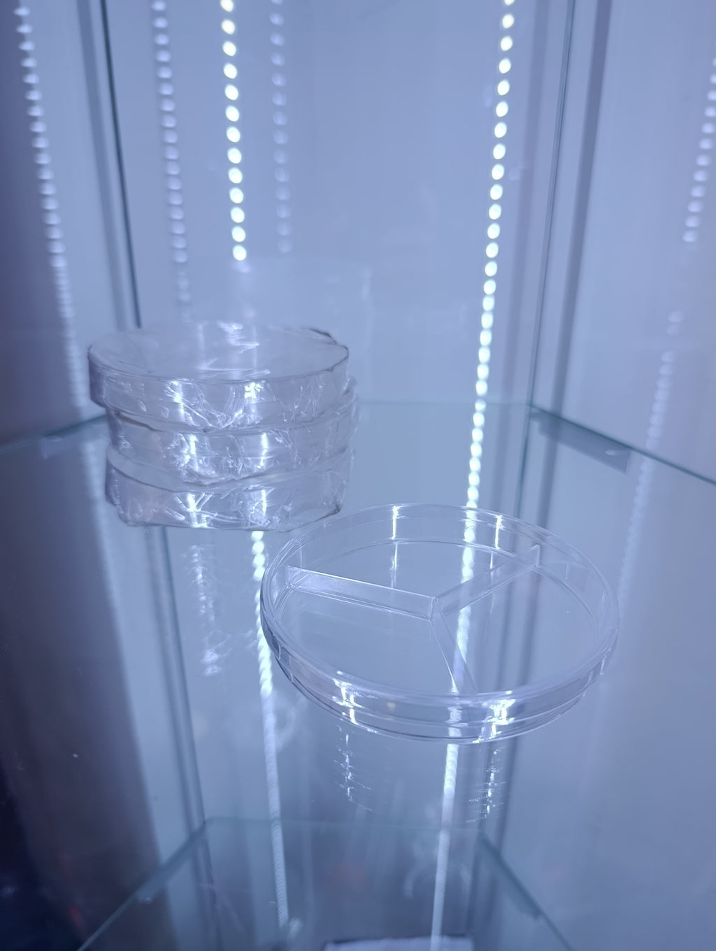 Placas de Petri (Petri Dish)