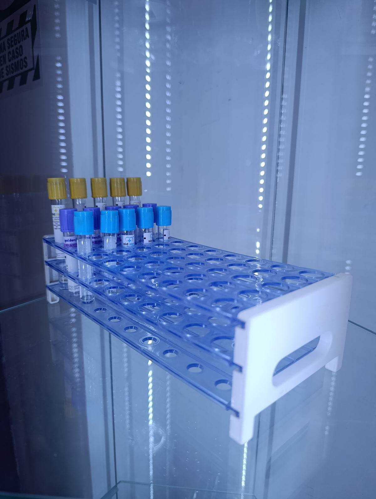 Gradilla para tubos con set de tubos de recolección al vacío